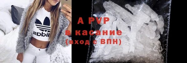 PSILOCYBIN Белоозёрский