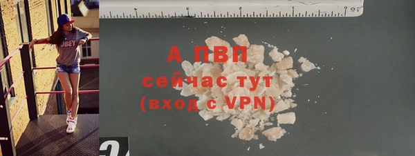 PSILOCYBIN Белоозёрский