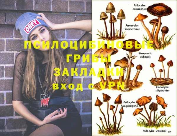 ешки Беломорск