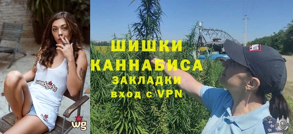 PSILOCYBIN Белокуриха