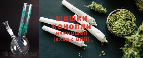 PSILOCYBIN Белокуриха