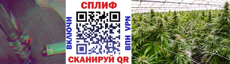 kraken вход  Троицк  Бошки марихуана Amnesia 